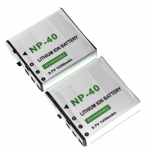 Due batterie per casio 40 - batterie,